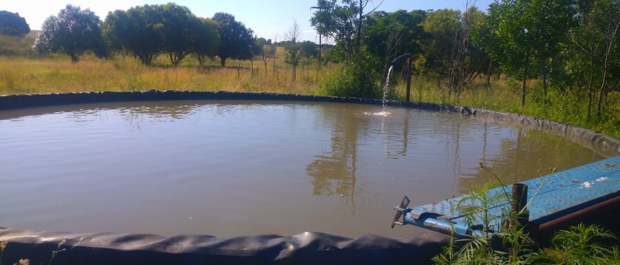 4 Bedroom Property for Sale in Sasolburg Rural Free State